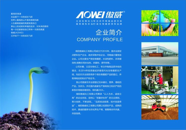 欧宝网站多少