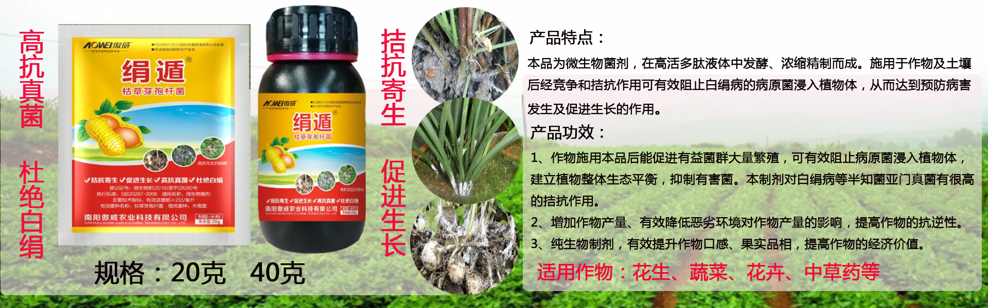 欧宝网页入口首页