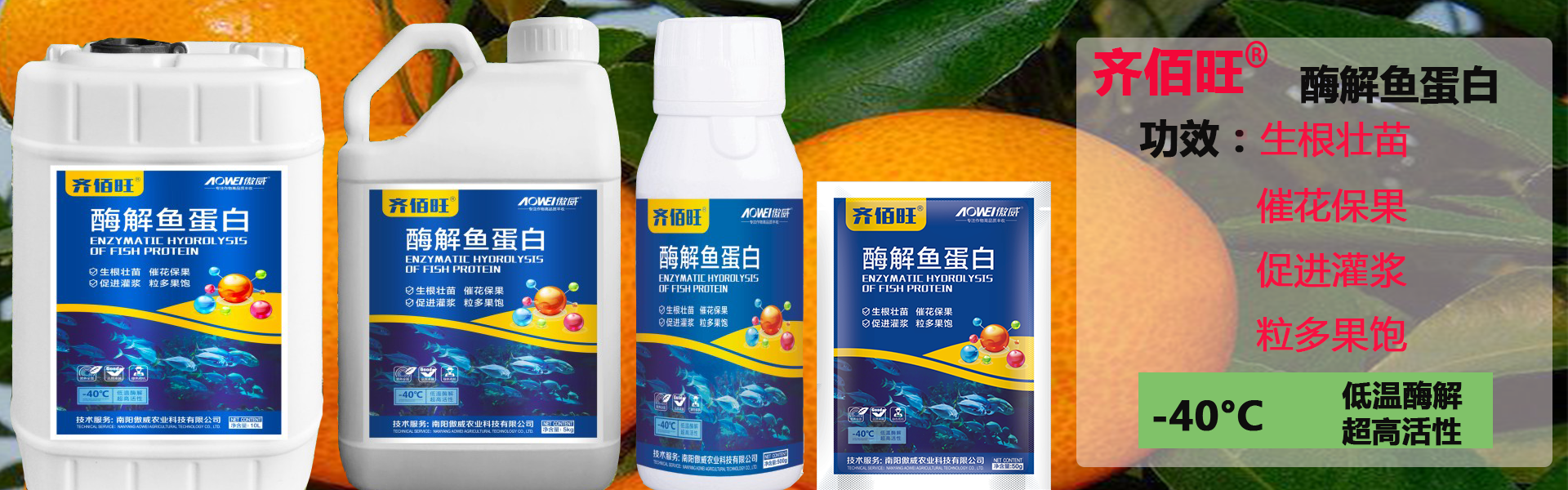 欧宝网站多少